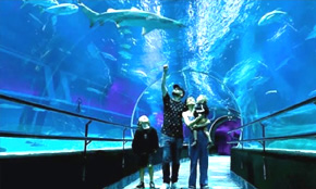 acuario