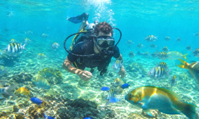 buceo-buzeos